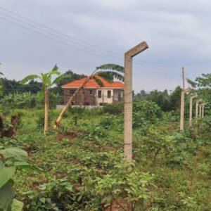 Hot Deal - 30 decimals plot for sale in kira Nsasa Mamerito Road link. private mailo Title