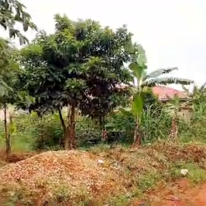 13 decimals in Namugongo protestant shrine selling title